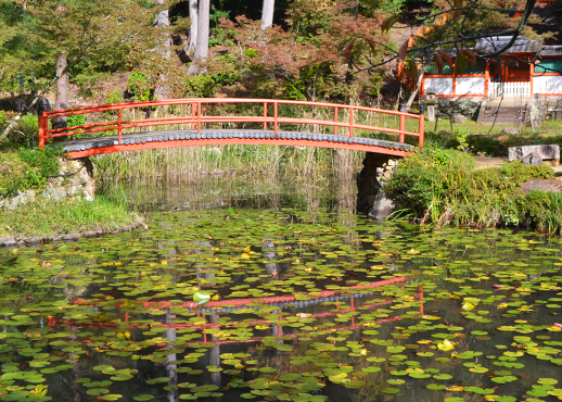 大原野神社の池